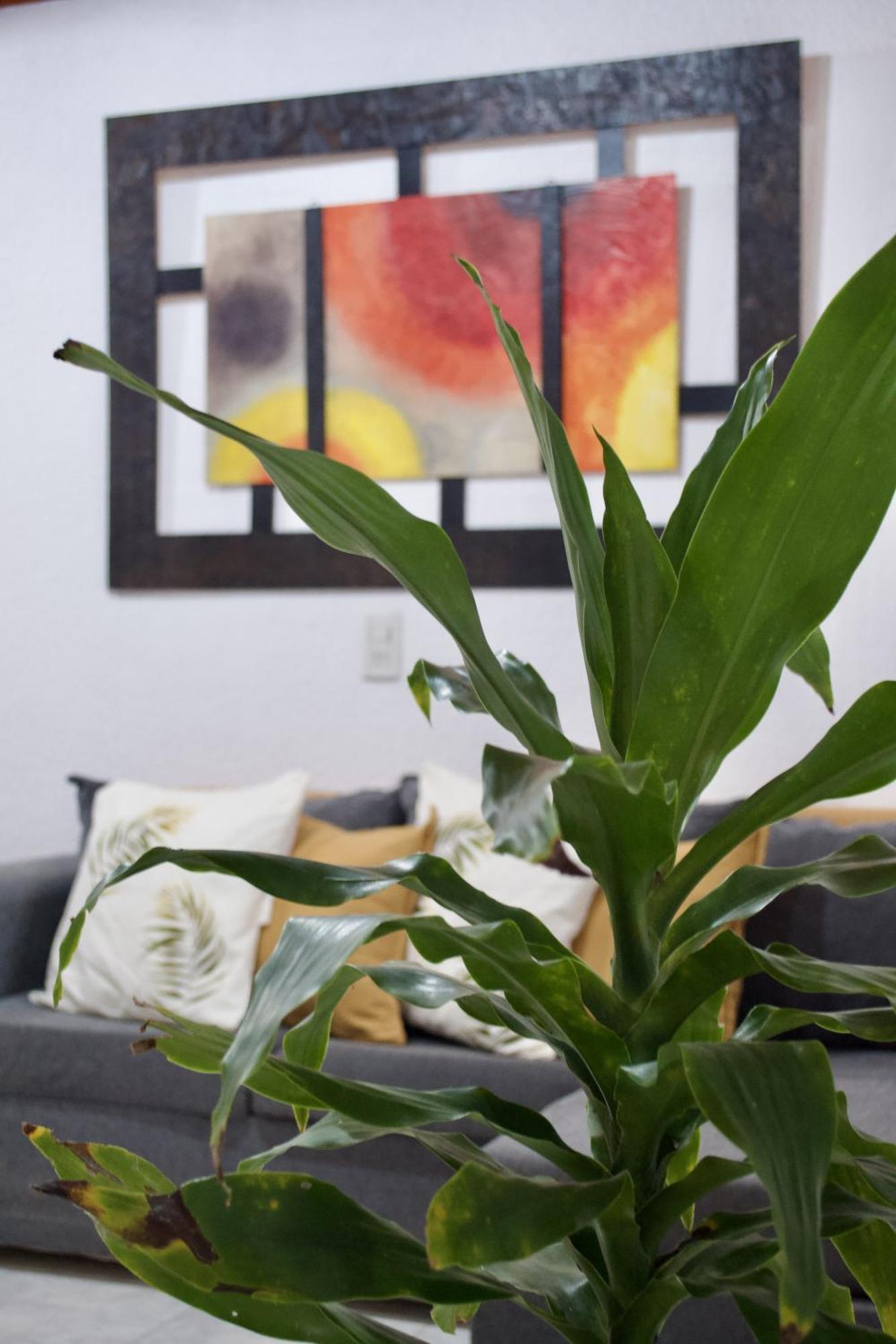 Apartment Naranjos